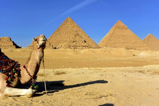 Tagesausflug von Hurghada nach Kairo mit dem Flugzeug – Pyramiden Tour