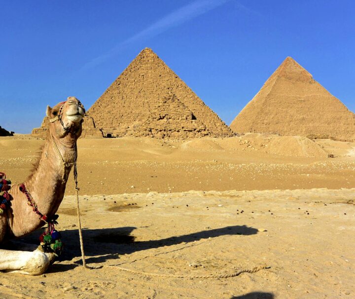 Tagesausflug von Hurghada nach Kairo mit dem Flugzeug – Pyramiden Tour
