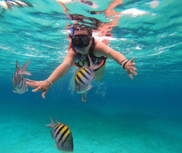 Sharm El Luli Ausflug Marsa Alam: Schnorcheln im klaren Wasser bei El Qulaan im Wadi El Gemal Nationalpark.