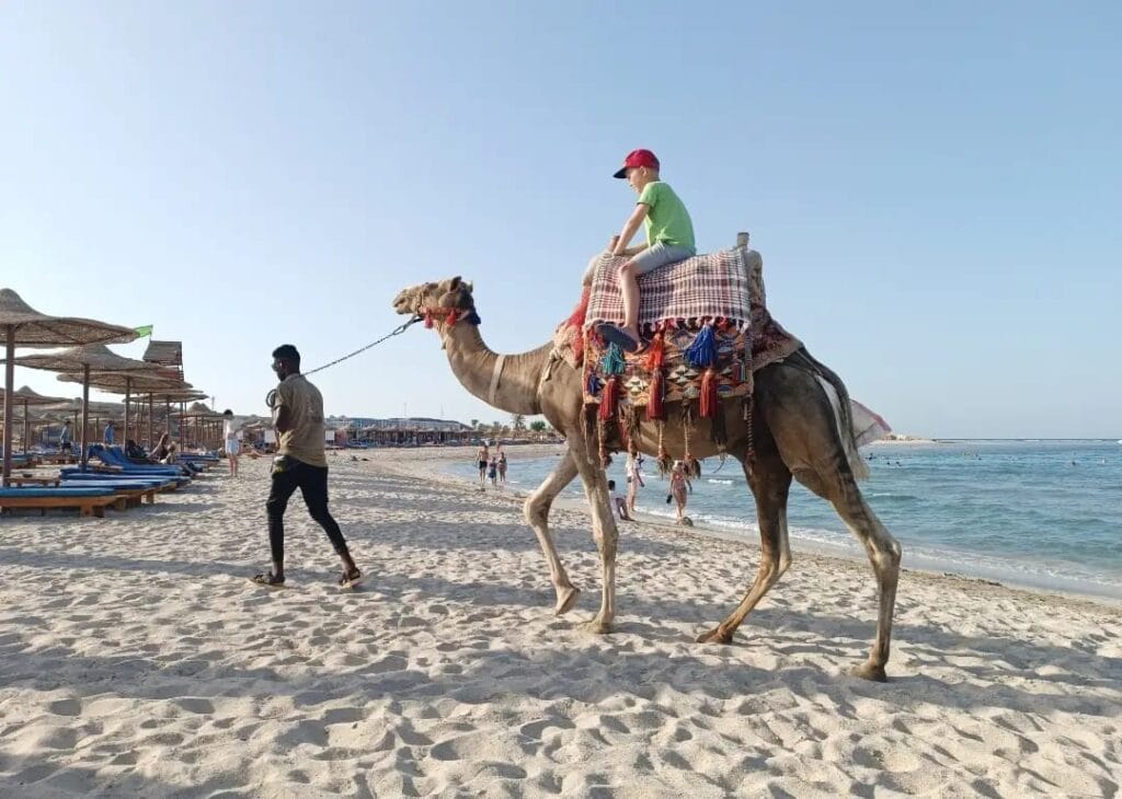 Kind reitet auf einem Kamel am Strand der Abu Dabbab Bucht – unvergessliche Abu Dabbab Erfahrungen für Familien in Marsa Alam.
