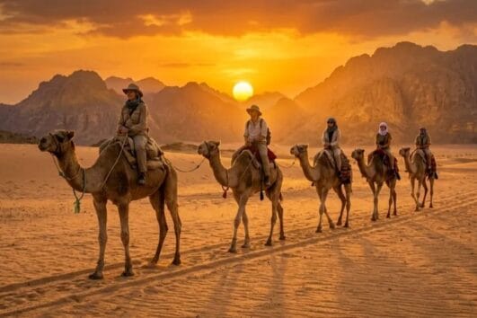 Ausflug Marsa Alam Kamelreiten – Reisegruppe reitet bei Sonnenuntergang durch die Eastern Desert in Ägypten.