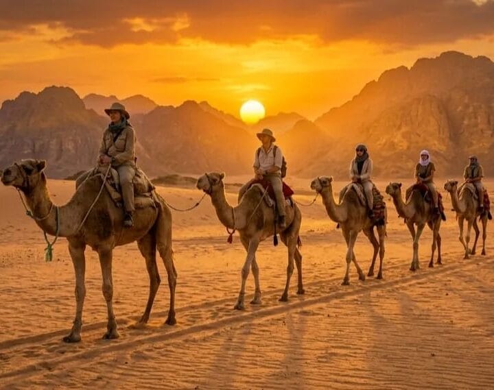 Ausflug Marsa Alam Kamelreiten – Reisegruppe reitet bei Sonnenuntergang durch die Eastern Desert in Ägypten.
