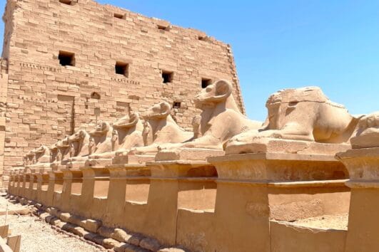 Karnak Widderallee beim Ausflug von El Gouna nach Luxor.
