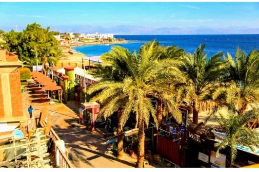 Transfer Sharm El Sheikh nach Dahab – schöner Strand in Dahab mit Palmen und klarem Meer