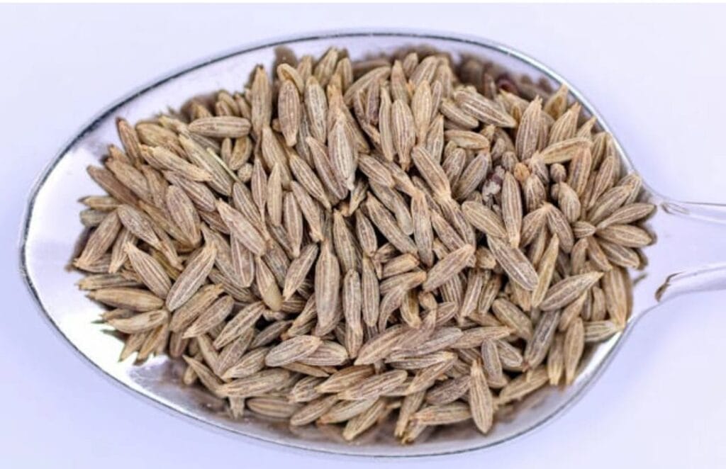 Tee aus Ägypten: 5 beliebte Sorten und echte Geheimtipps 3 Eine Löffel voll ägyptischer Anis (Yansoon) – aromatische getrocknete Anissamen, die traditionell für Tee verwendet werden und für ihren intensiven Duft und ihre beruhigende Wirkung bekannt sind