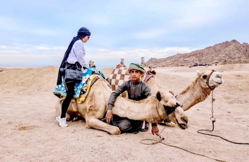 2 Kamele,eine deutsche Frau und ein beduinisches Kind beim Kamelsafari Ausflug in Marsa Alam
