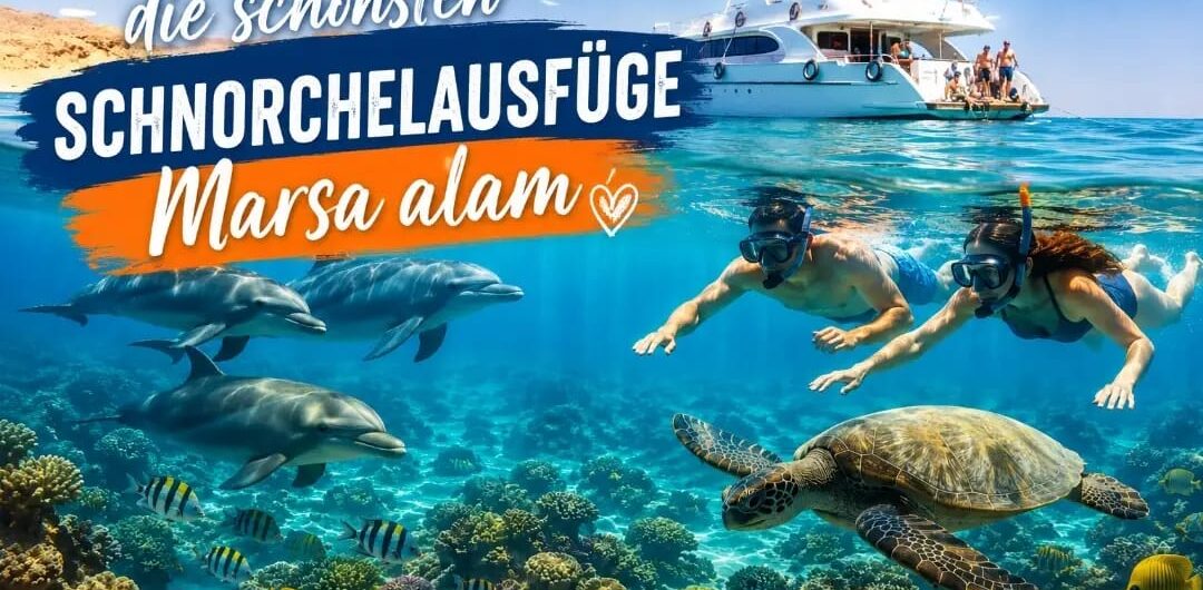 chnorchelausflüge in Marsa Alam – Delfine, Meeresschildkröten und Taucher im klaren Roten Meer bei einem Bootsausflug zum Dolphin House