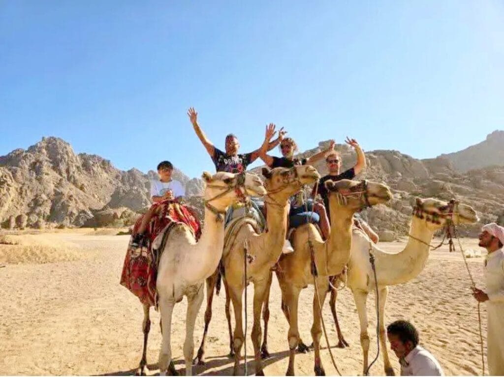 Eine Familie ist mit einem Kind auf die Kamele in Marsa Alam
