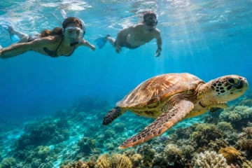 Hamata Bootstour ab El Quseir – Schnorcheln bei den Qulaan-Inseln 5 Meeresschildkröte beim Schnorcheln in Abu Dabbab in Marsa Alam.