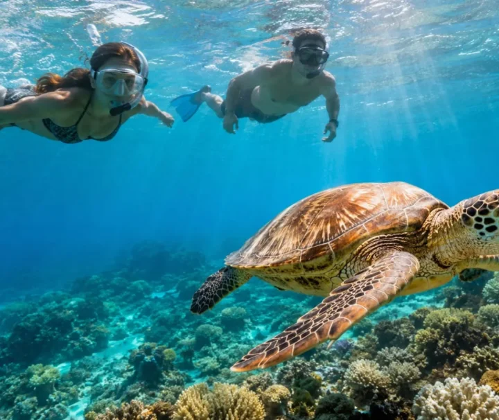 Meeresschildkröte beim Schnorcheln in Abu Dabbab in Marsa Alam.