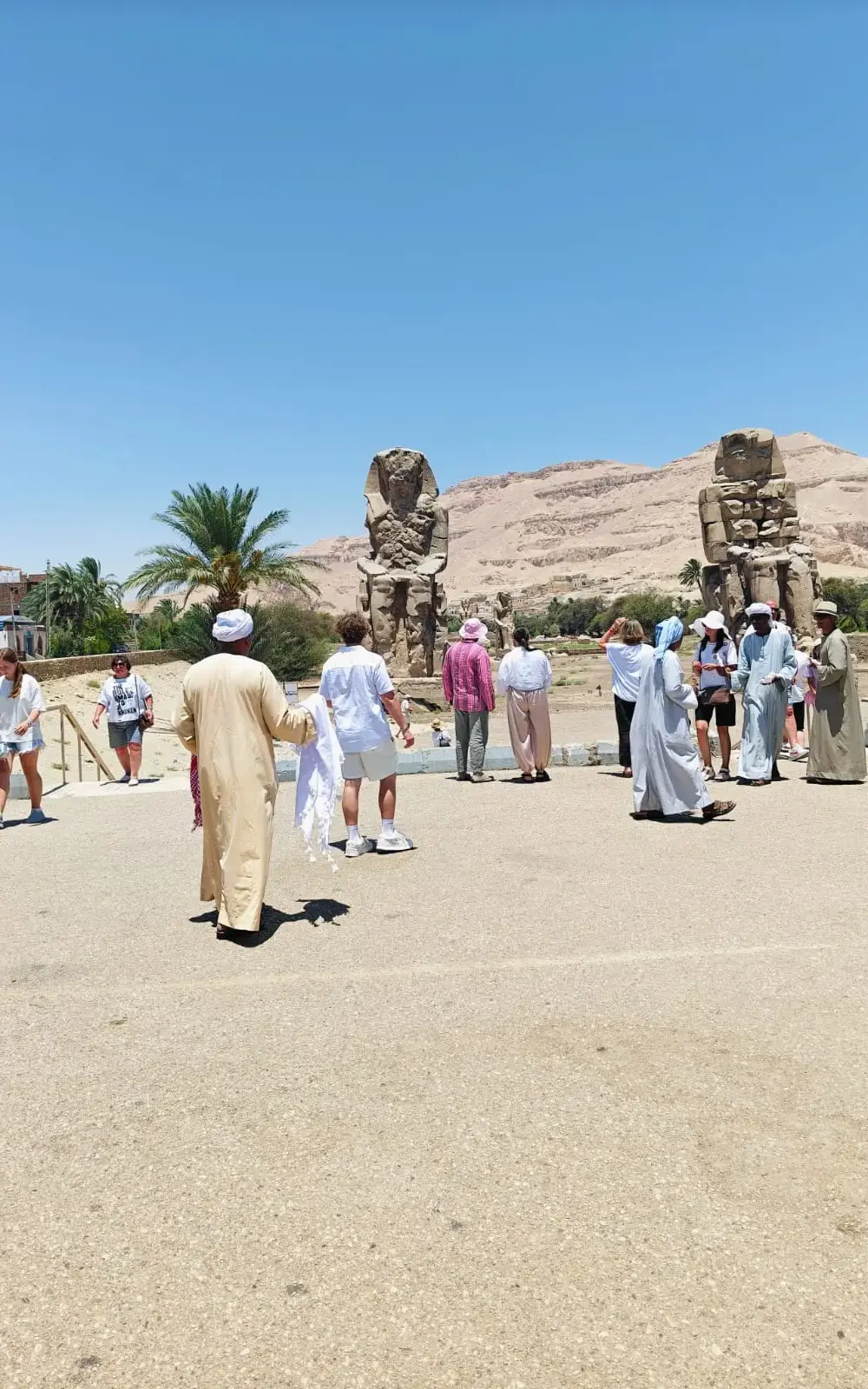 Marsa Alam Reisen 18 Marsa Alam Ausflüge mit Kindern – Die besten Touren für Familien