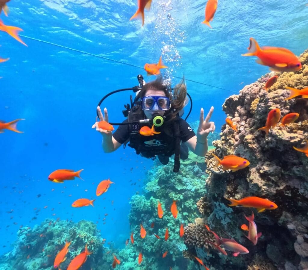 Sataya Reef oder Abu Dabbab – Schnorcheln in Marsa Alam 4 Tauchen und Schnorcheln in der Unterwasserwelt von Marsa Alam.