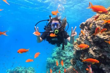 Tauchen in Marsa Alam – Tauchgänge, Tauchplätze & Preise 2026 11 Tauchen und Schnorcheln in der Unterwasserwelt von Marsa Alam.