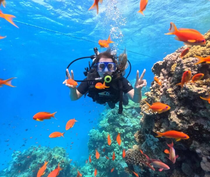 Tauchen und Schnorcheln in der Unterwasserwelt von Marsa Alam.
