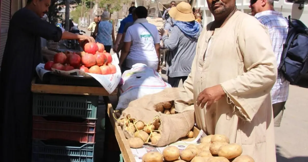 Luxor mal anders ab Marsa Alam – Private Wunschtour für Wiederholer 2 Luxor Souk bei Luxor mal anders ab Marsa Alam mit lokalem Gemüseverkäufer.