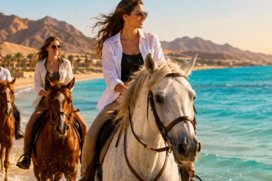 Pferde Reiten in Marsa Alam bei einem Ausritt am Strand des Roten Meeres.