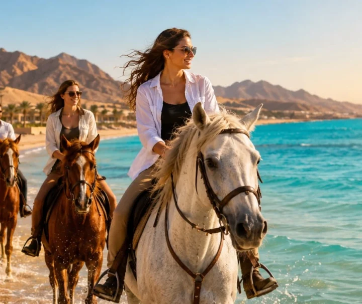 Pferde Reiten in Marsa Alam bei einem Ausritt am Strand des Roten Meeres.
