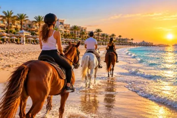 Pferdereiten Hurghada – Wüste & Rotes Meer bei Sonnenaufgang oder Sonnenuntergang 11 Pferdereiten Hurghada am Strand des Roten Meeres bei Sonnenuntergang